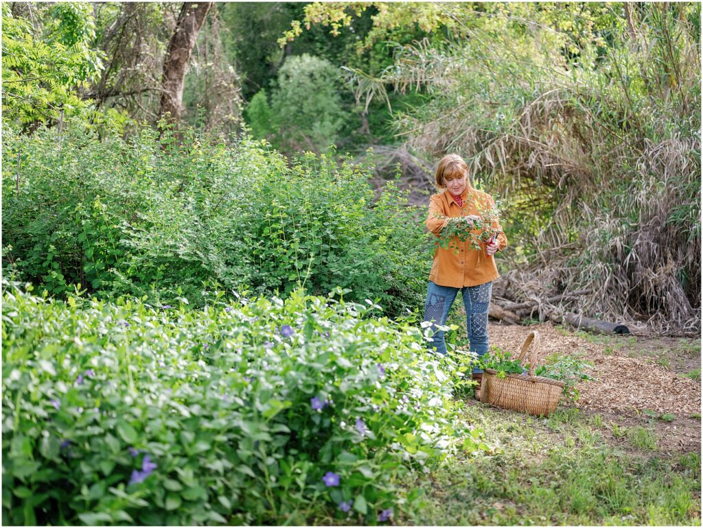 woman trimming plants with a wicker basket photographed by Krista Marie Photography, a Bay Area personal brand photographer